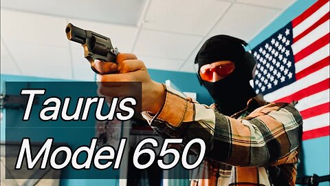 Taurus Model 650 Review