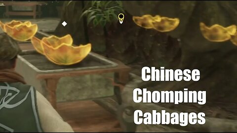Hogwarts Legacy Learning How To Use Chinese Chomping Cabbages