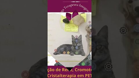 Tratamento de Reiki, Cromoterapia e Cristalterapia em Pets integra no canal #krisceuq #pets