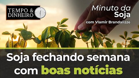 Soja fechando semana com boas notícias.