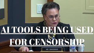 Ms Hageman destroys dems over AI censorship