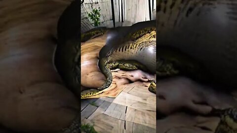 the anaconda - art - animations #shorts #animation #art #anime #painting