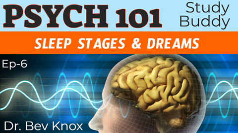 Sleep Stages & Dreams - Psych 101 “Study Buddy” Series