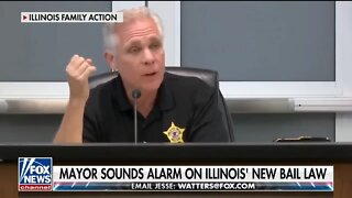 Mayor Sounds Alarm On Illinois' New Bail Law: MASSIVE THREAT