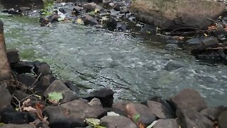 Sounds of Water Stream after Rain for Meditation, Relaxation, Insomnia and Deep Sleep