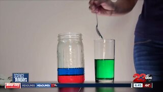 Science Sundays: A Demonstration in Density