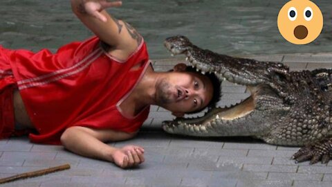 Most aggressive crocodile