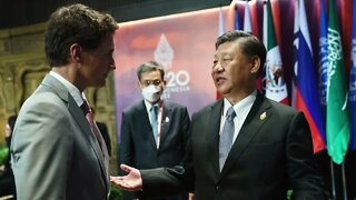 B20/G20: Xi Jinping calls out Justin Trudeau in public