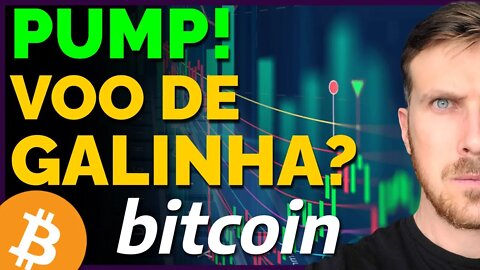 BITCOIN PUMP! VOO DE GALINHA?