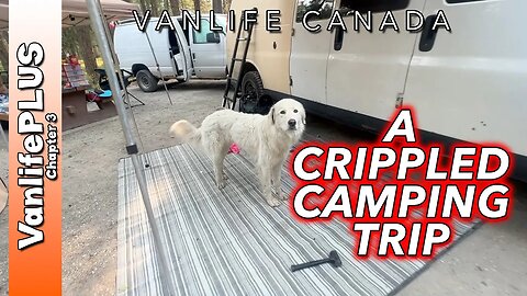 Vanlife Camping with Immobilizing PAIN & Unexpected Visitors