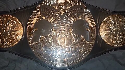 WWE Tag team championship replica commemorative replica (Penney)