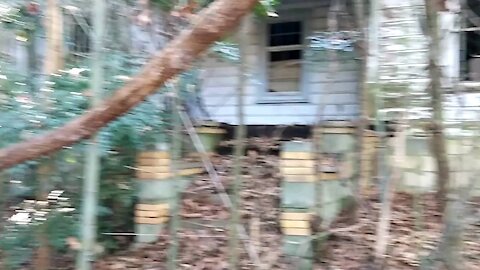 Bamboo hidden home