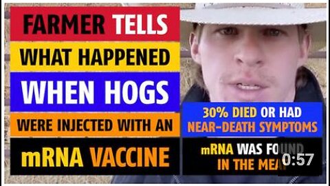 Farmer tells what happened when hogs were injected with a mRNA vaccine
