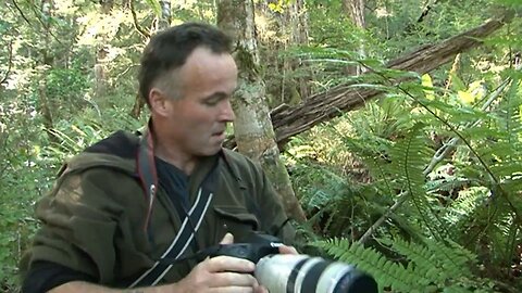 How to Call in a Red Stag Close - Armed with Just a Camera - Take 2