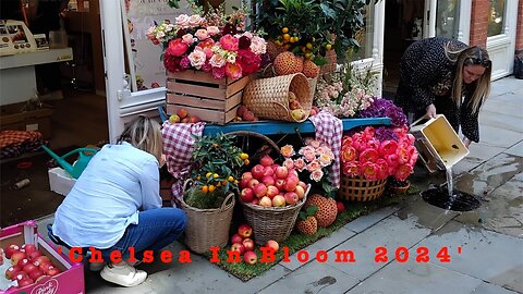 'CHELSEA IN BLOOM 2024 EVENT & A LOCAL STROLL OF CHELSEA AND BELGRAVIA' PART 1