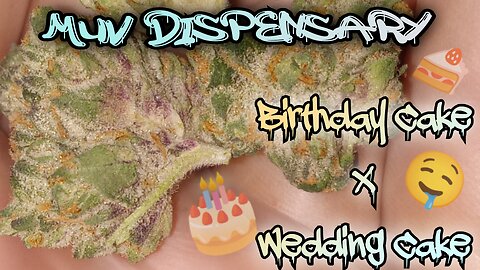 #106 Wedding Cake Birthday Cake (Official Product Video Review) Muv Dispensary Product