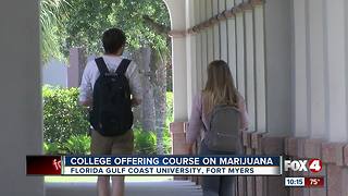 Marijuana class to be offered at FGCU this fall