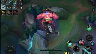 Sion in the Jungle