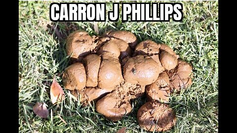 Carron J. Phillips