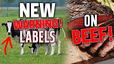 It's NOT What YOU Think... NEW Warning! LABELS On BEEF!🐄