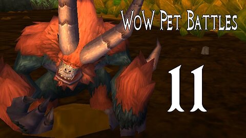 World of Warcraft Pet Battles 11 - Onward to Northrend