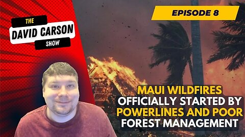 Maui Wildfires Officially Started By Powerlines And Poor Forest Management PT2