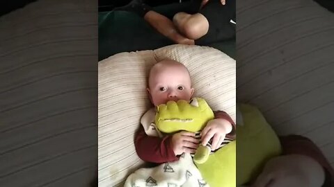 Cute Baby Boy Loves A Crocodile