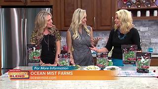 Eating Your Veggies!|Morning Blend