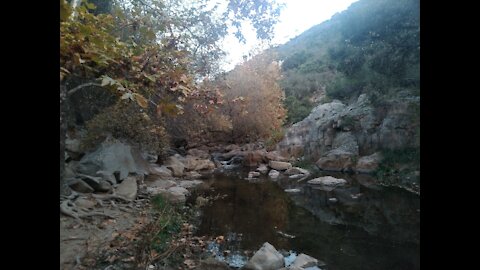 Beautiful creek view