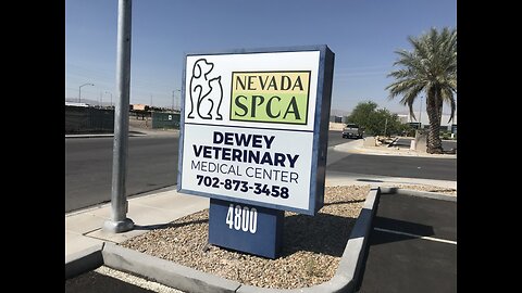 New leash on life at Nevada SPCA