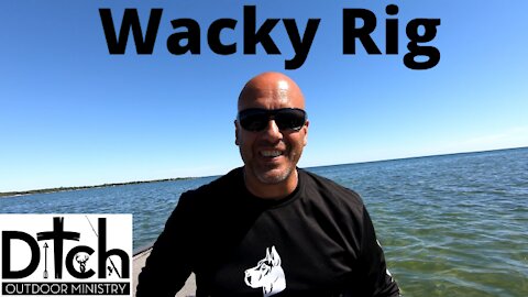 Wacky Rig smashes 20lbs of Smallmouth in 1hr 40min
