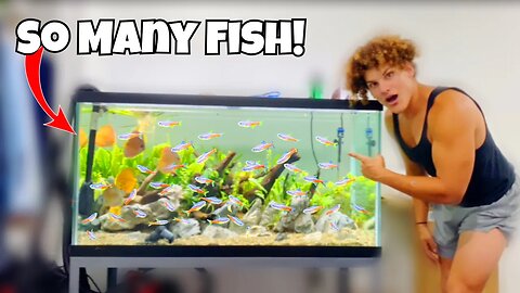 I Bought TONS Of FISH For My AQUARIUM!
