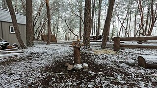 Snow Sprinkling Overnight