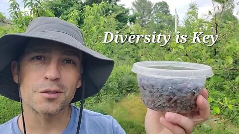 Diversity is key: an early June good forest walk-around.