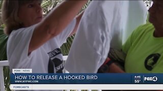 FWC teaches you how to release a hooked bird