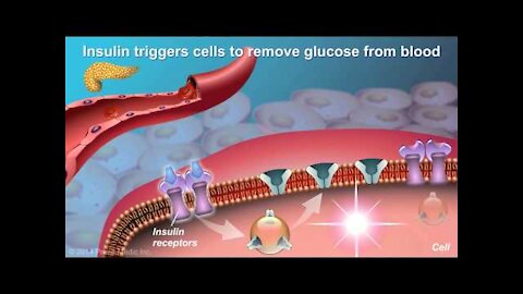 Only in this video everyone will know to about diabetes and how to control organically