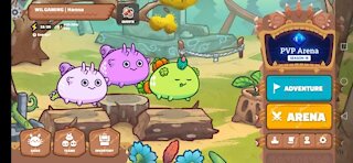 AXIE INFINITY BEGINNERS GAME TEAM AAP