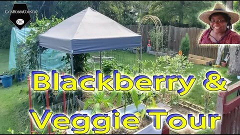 Black Berry Veggie Tour fin