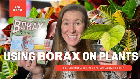 How To Use Borax On Plants. Borax Can Be Used On Houseplants & The Garden. Soil Scientist Explains