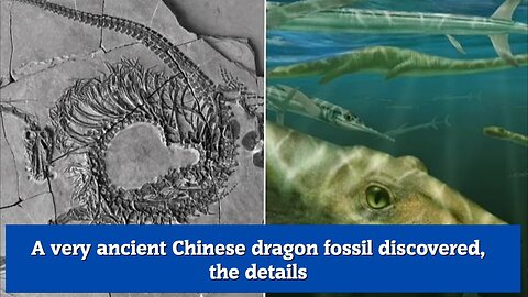 A very ancient Chinese dragon fossil discovered, the details