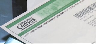 Census completion could be delayed