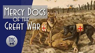 Mercy Dogs of the Great War