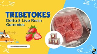 TribeTokes Delta 8 Live Resin Gummies - A Perfect Harmony