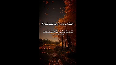 Surah Yaseen Verse 73,77|Tilawat Quran Kareem|09/03/2024