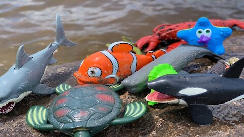 Marine animal toys this summer on the shore canada