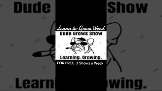 🔥Teaching Growing, while Learning & Growing. - The Dude Grows Show 🔥
