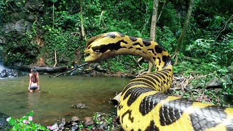 Worlds biggest snake 😱