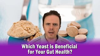 Which Yeast is Beneficial for Your Gut Health?