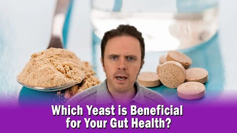 Which Yeast is Beneficial for Your Gut Health?