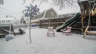 Da verde a bianco in un attimo, ecco il giardino sommerso dalla neve